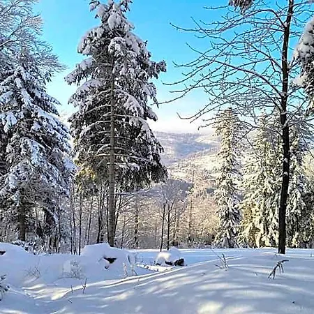 Pod Kasztanem Райча