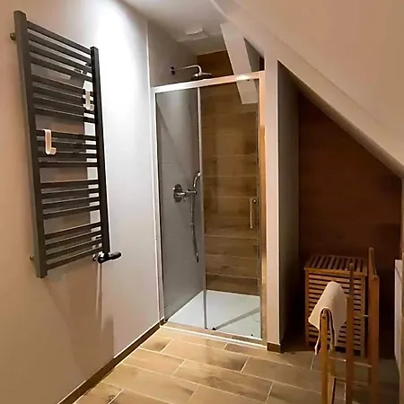 Pod Kasztanem Отель